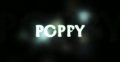 Theory11 Poppy by Benji Taylor