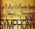 Theory11 Symphony by Daniel Garcia