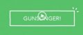 Gunslinger by Christopher Wiehl