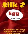 Silk 2 Egg by Cody Fisher