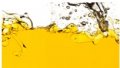 Ultimate Oil and Water Collection by Nguyen Quang Teo Instant Download