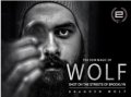Wolf by Branden Wolf